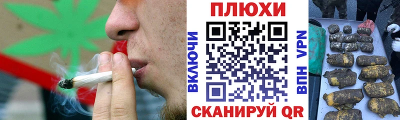 ГАШ Ice-O-Lator shop официальный сайт Костерёво где продают
